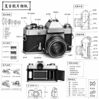 适合收藏的物体科普图模板：写实主体、剖面轮廓、尺寸线一次放进 Prompt
